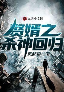 赘婿杀手