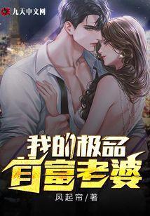 我的极品首富老婆阅读