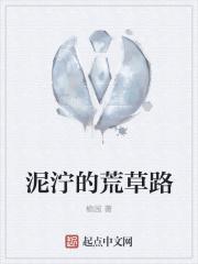 泥泞的荒草路图片