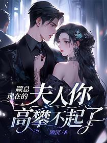 顾总他今天真的出发去墨尔本了