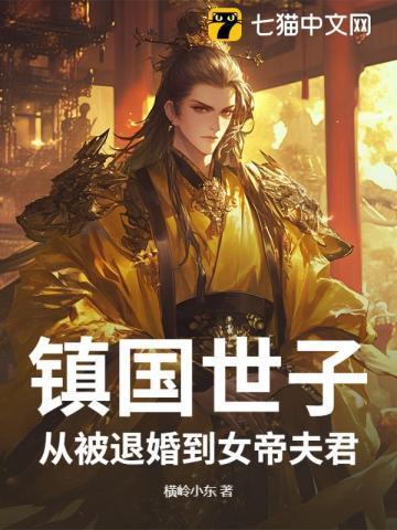 镇国王妃全文阅读
