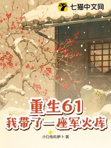 我带了一座军火库让妹妹吃饱饭动画