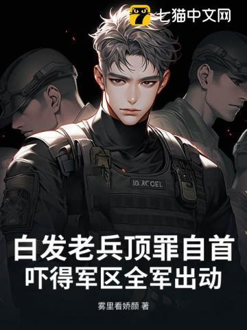 白发老卒