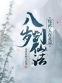 综武人在北凉