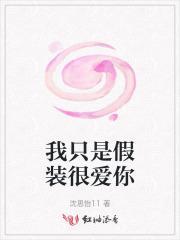 我只是伪装直男