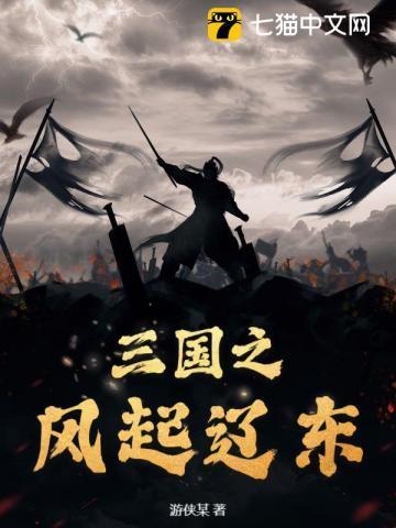 三国之风起南汉