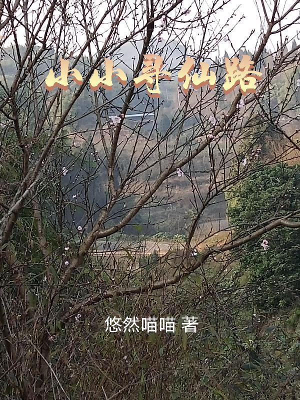 小小寻仙路男主最后和谁在一起了