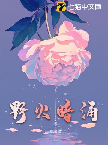 野火aa