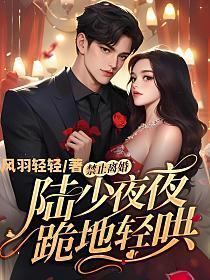 禁止离婚陆少夜夜跪地轻哄乔芷若