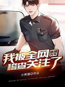 直播洗车我被全网稽查关注了txt