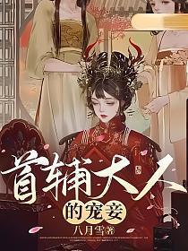 首辅大人的宠妾讲的什么