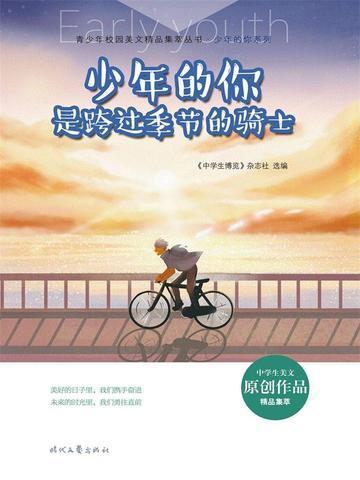 少年的你是跨过季节的骑士歌词