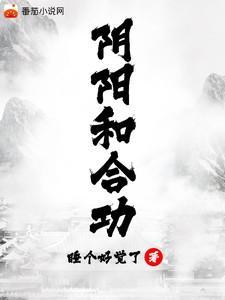 阴阳和合功阅读全文主人公陈阳