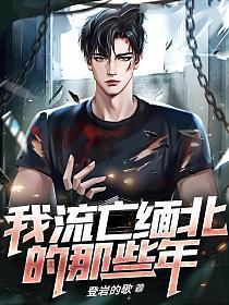 流在缅北的血完整版有声