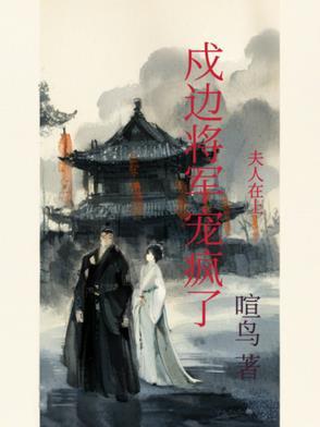 夫人在上少帅来战