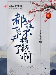飞升之后说的是什么