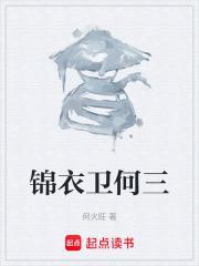 锦衣卫3
