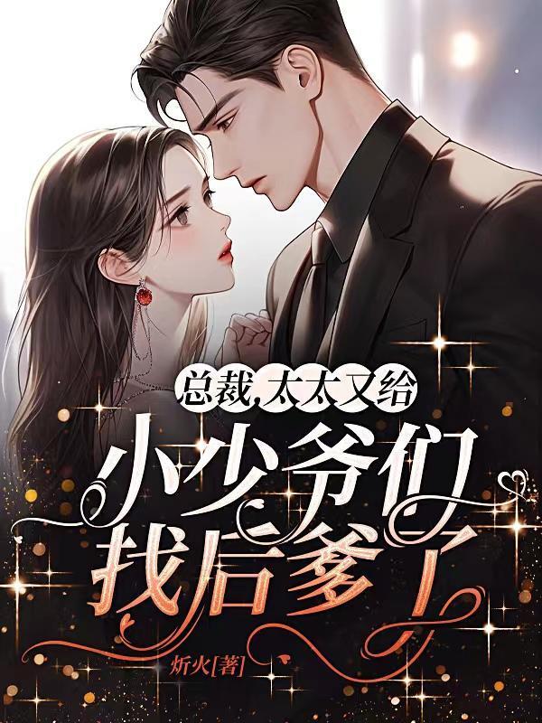 总裁的小太太