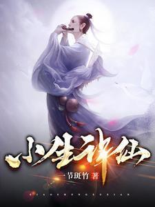 娘子请留步免费阅读