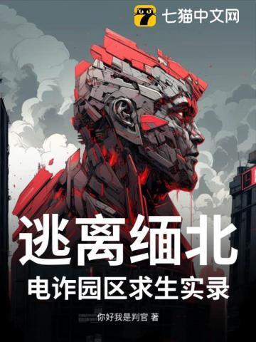 缅北边境电信诈骗新闻