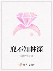 林深不知处小鹿仙重量