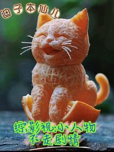 综影视小人物不走剧情笔趣阁
