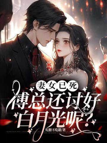 傅总追妻火葬场全文阅读