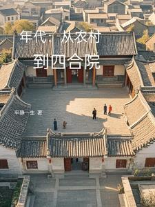 年代从农村到四合院书海阁