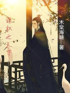 权谋天下情