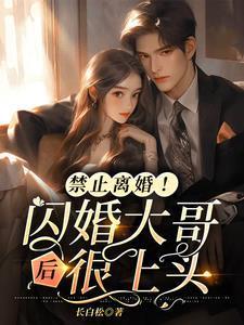 禁止离婚!闪婚大哥后很上头漫剧