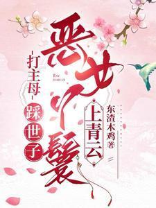 恶女丫鬟上青云简介