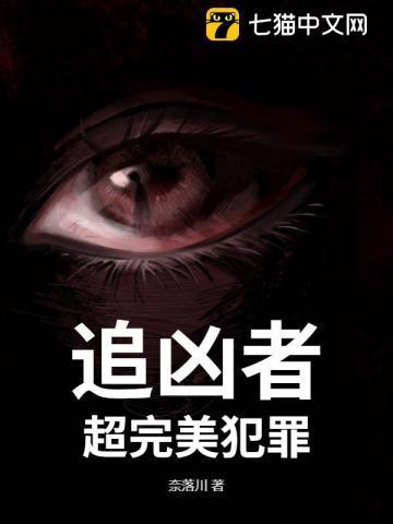 片名追凶者也