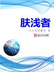 肤浅者讲的什么