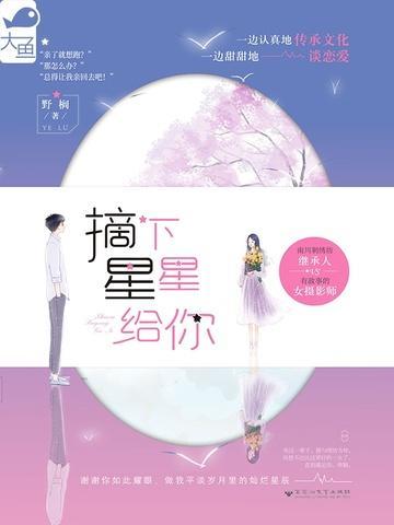 摘下星星给你 歌词