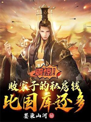 败家子比国库还有钱