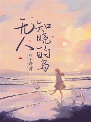 无人知晓的岛讲啥