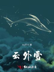 云外雪什么意思