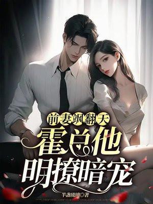 傲气前妻不好追