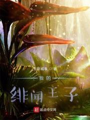 我的绯闻王子 评语