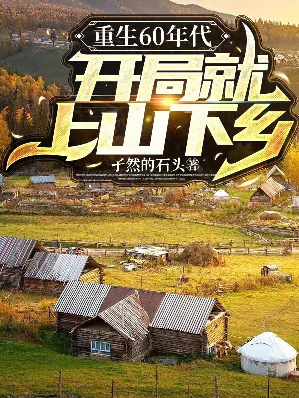 开局就上山下乡孑然的石
