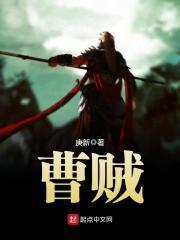 曹贼我与你势不两立