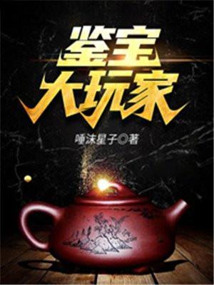 鉴宝大玩家无删减版