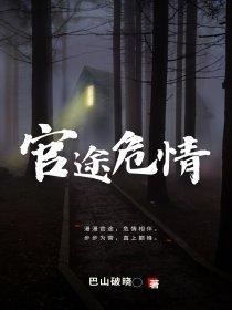 官场危情升迁笔