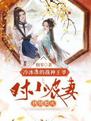 冰冷王爷和神医王妃