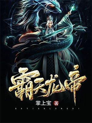 霸天龙帝txt奇书网