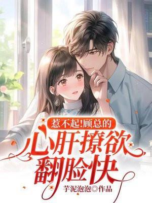 顾总的小