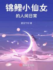 锦鲤小美人 最新章节 无弹窗
