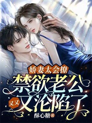 娇妻太会撩禁欲老公又又又沦陷了 酥心糖