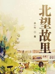 北望故乡简谱