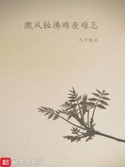 微风轻拂的夜晚
